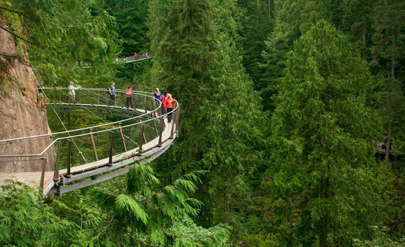 Capilano Bridge Vancouver
