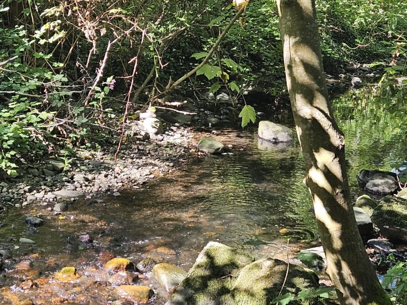 ravine park vancouver