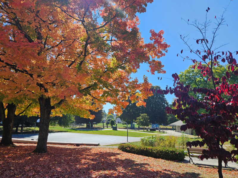norquay park kingsway vancouver