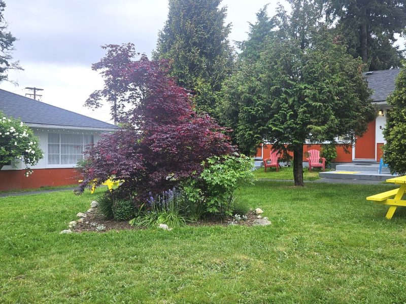 bring your own lunch at the 2400 Motel in Vancouver